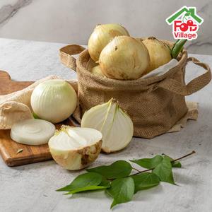 [푸드빌리지] 2026 하우스 햇양파 10kg