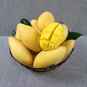 달콤한 태국망고 8-12입 5kg 한박스(특대과)