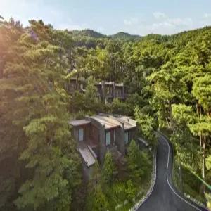 제천 포레스트 리솜