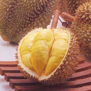 냉동통 두리안(1.5~5kg)/몬통 깐두리안 900g(450gx2팩) 선택구매