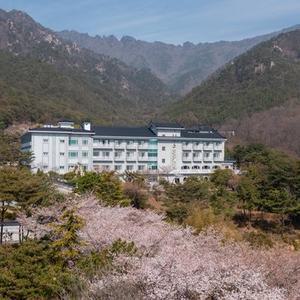 [경북] 가야호텔(경북호텔/성주호텔/성주가야호텔)