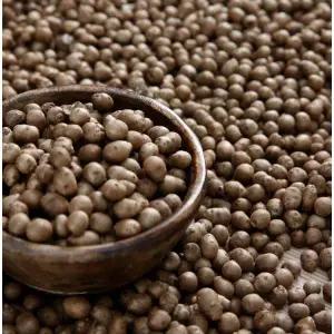 [철따라농산물]안동 햇 마씨(영여자) 마씨앗 1kg