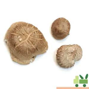 표고 버섯 1Kg (파지)