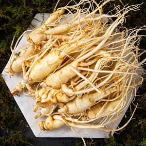 금산 실속형 세척 인삼 난발삼 1kg 5년근 오쿠 홍삼