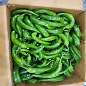 오이맛고추(상)3kg 1박스 자연대로팜웨이