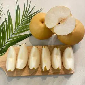 25년 햇배 프리미엄 나주 배 신고배 가정용 5kg 흠집배