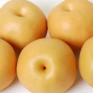 [두레]나주배 15kg(16~23과_흠집과)