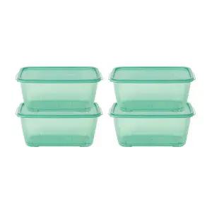 이지앤프리 튼튼이 웨이브킵 냉동실정리용기, 3000ml, 4개입, 1개