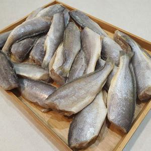 영광 두절굴비 600g