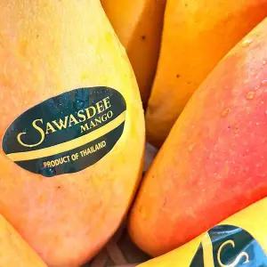 새콤달콤 마하차녹 무지개망고 10-12입 (특대과 5kg내외)