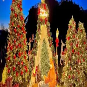 [경기] 포천 글램파크 캠핑장(경기캠핑/글램핑/포천캠핑/글램핑)