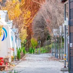 [대전] 대전 꿈꾸는농부캠핑장(대전, 동구)