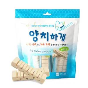 양치하개 스케일링24P