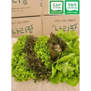 [나리팜] 친환경 무농약 유로피안 샐러드 1kg(6~8종) / 600g(3~5종) 유럽 상추 유러피언 샐러드채소 쌈채소 버터헤드 카이피라 로메인