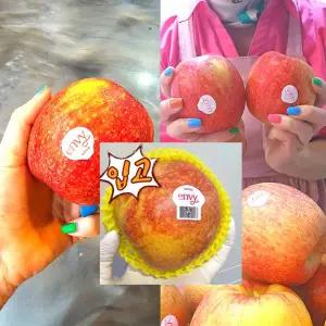 (엔비정품입고)공동구매보다 저렴 엔비정품사과 예산엔비사과 명품2호 5kg(17-20과)