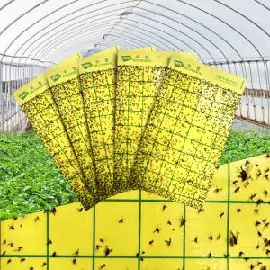 비닐하우스 끈끈이 트랩(50매입) 250mmX150mm 해충퇴치 뿌리파리 진딧물 총채벌레 온실가루이 벌레 제거