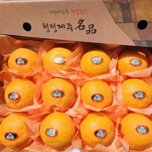 제주 고당도 카라향 5kg 선물용