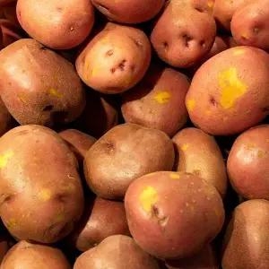 국내산 포슬포슬 붉은 홍감자 분감자 대 3kg