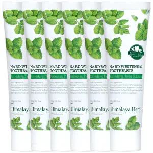 부케가르니 나드 미백치약 100g 3개입 2개