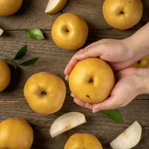 국내산 시원한 가정용 햇 배 5kg 소과 (20-25과내외)