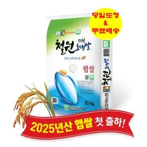 동철원농협 철원오대쌀 20KG [25년 햅쌀. 100% 계약재배. 단일품종. GAP인증. 당일도정]