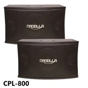 금영 태진 스피커 CPL-800 8인치 스피커 노래방 매장용 헬스장 무대 행사 파티룸