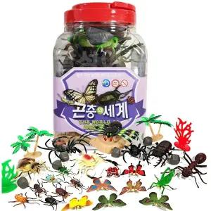 곤충의 세계 /중형/ 교육용 곤충모형 피규어