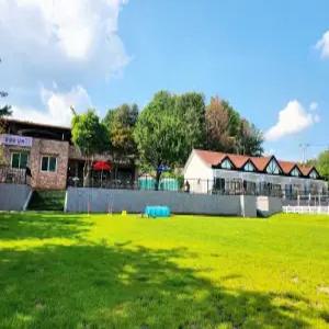 [강원] 춘천애견펜션 꽃길만 걷개(강원, 춘천)