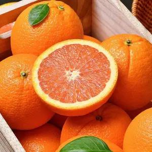 [자연맛남]고당도 카라카라 오렌지 30과 중소과(개당 150g내외)