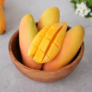 [롯데백화점]감동 항공직송 태국 마하차녹 무지개 망고 특대과 8-10과 4kg 내외