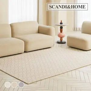 [NS홈쇼핑]먼지없는 슬래시 루프 사이잘룩 러그 사계절 카페트 200x300 3colors..[35059766]