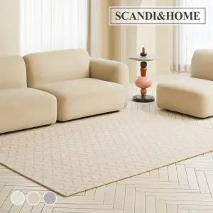 먼지없는 슬래시 루프 사이잘룩 러그 사계절 카페트 200x300 3colors