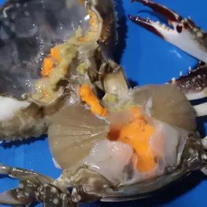 싱싱햇 서해안 제철 암꽃게 활 알배기 꽃게 꽂게 1kg