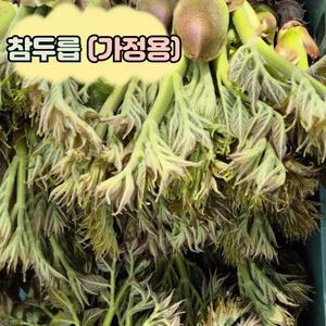 [전라도] 참두릅 원순 국내산 1Kg 봄나물 가정용(보통굵기)
