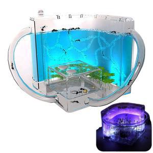 개미키우기 세트 개미집 곤충관찰 LED 어린이날 초등 과학선물