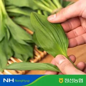 정선농협 자연담은 정선 생잎 명이나물 2kg 특품) 당일수확발송