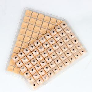 귀지압 패치 600P/ 혈자리 마사지 이혈 테라피 지압 스티커 귀침