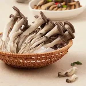 하루채소 참타리버섯 (170g)