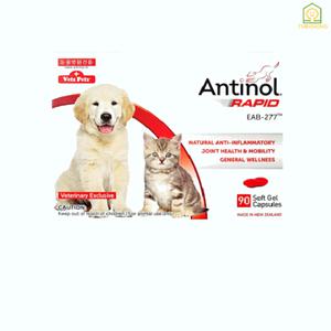 [정품] 안티놀 래피드 90정 관절 영양제