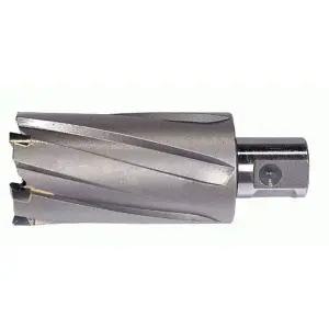 [하프클럽/]니토 자재 제트브로치 20(50L)