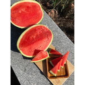 씨드리스 수박 씨없는 고당도 꿀 수박 임산부 에어쉘 포장