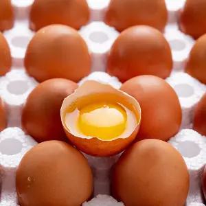 [HACCP/무항생제 인증] 난각번호 1번 유정란 60구 / 파손보상