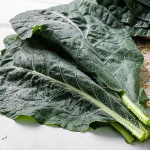 유기농 즙용 케일 1kg / 2kg /HH