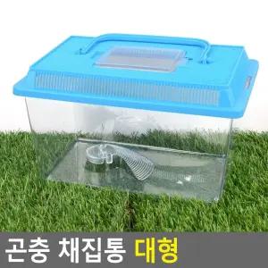 (대형) 곤충 채집통/사육통/파충류/사육장/채집/플라스틱/사슴벌레/어린이집/유치원/방과후/방학/계곡/대형