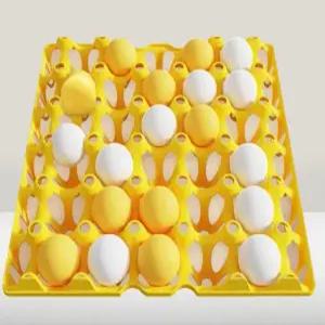 [MAME]계란판 탁구공 빙고 게임 세트 2컬러 택1