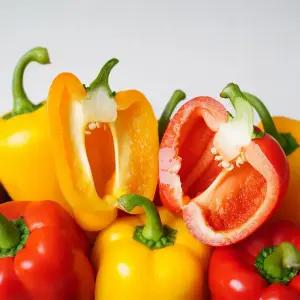 정품 파프리카 1kg(빨강/노랑)