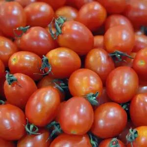 [품질보증] 봉이네 달콤 쫀득 대추 방울토마토 소과 1kg