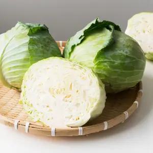 국내산 양배추 5kg 10kg