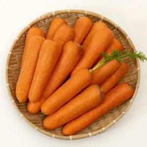 아삭아삭 고당도 제주 구좌 세척당근