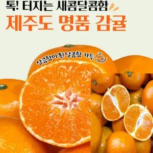 감귤5kg 제주 농장 고당도 감귤 [특가판매] 탱글탱글 꿀브릭스 제주 감귤, 1박스, 5kg